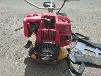 Honda Whipper Snipper  - 4