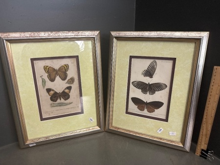 2x Framed Butterfly Prints