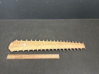 Sawfish Bill Rostrum 