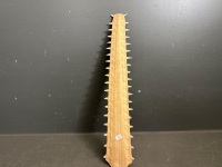 Sawfish Bill Rostrum  - 2