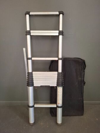 Large Extendable Ladder with Case