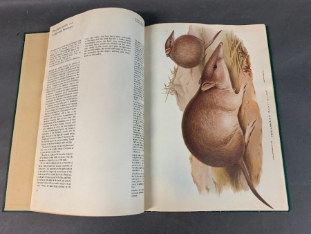 The Best of Gould's Mammals by John Gould - More than 50 Colour Plates