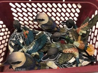 Box Lot of Ducks & Kookaburras