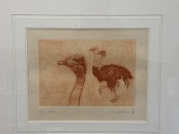 Frank Hodgkinson Ostrich Etching - 2