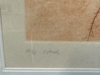 Frank Hodgkinson Ostrich Etching - 4