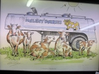 Maleny Dairies by Colin Parker - 2